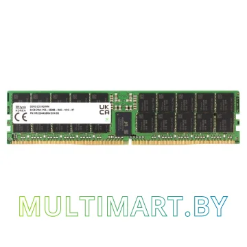 Оперативная память Hynix 64GB DDR5 PC5-44800 (HMCG94AGBRA181N)